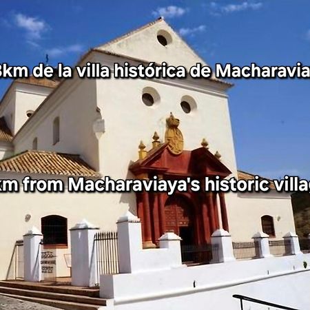 El Maurel Villa Málaga Kültér fotó